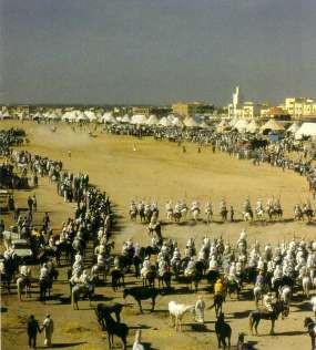 scenes from MOROCCO